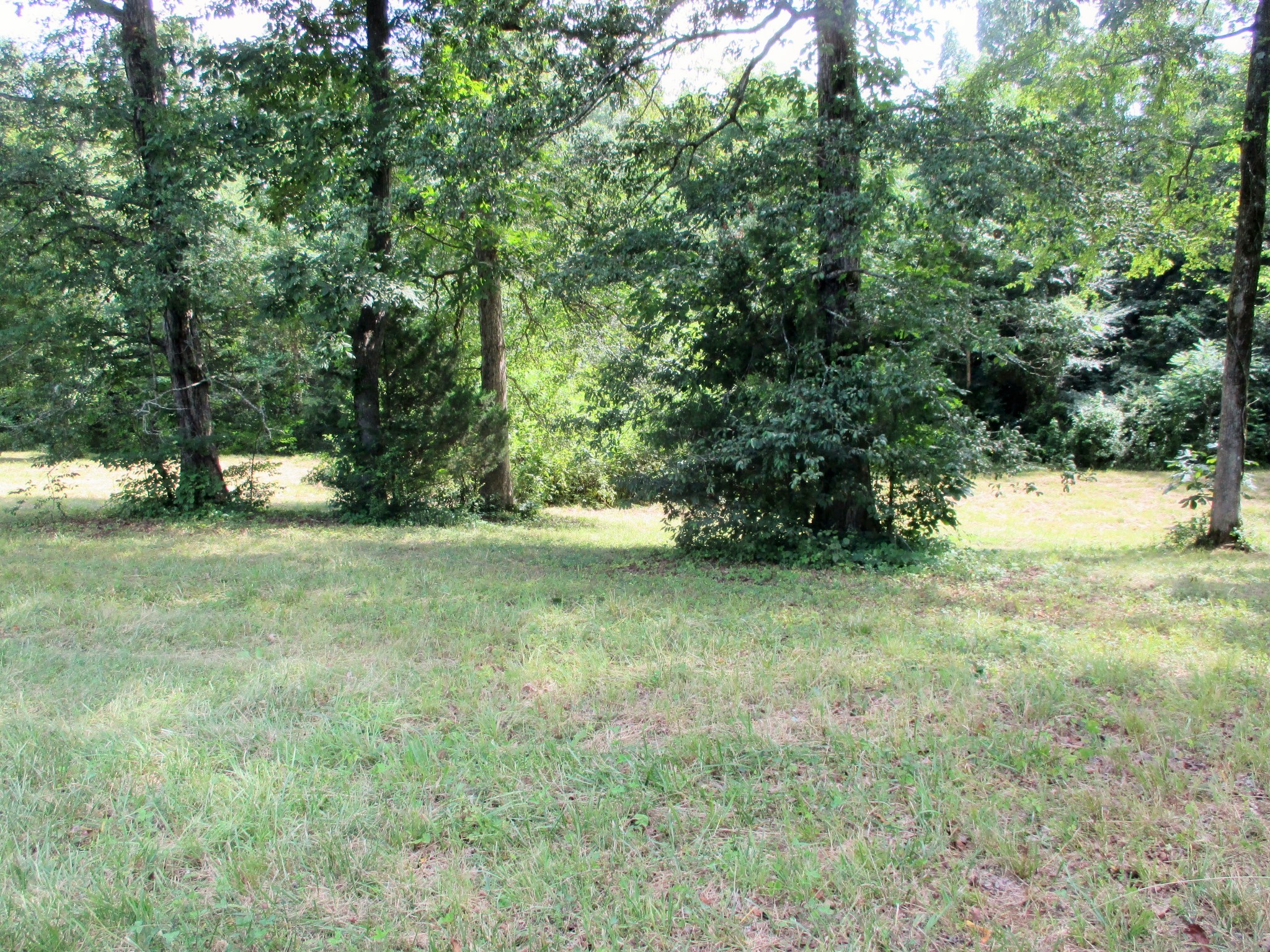 0 Spring Meadows Lane Morrison, TN 37357 - Photo 10 of 23 a view of outdoor space with trees all around