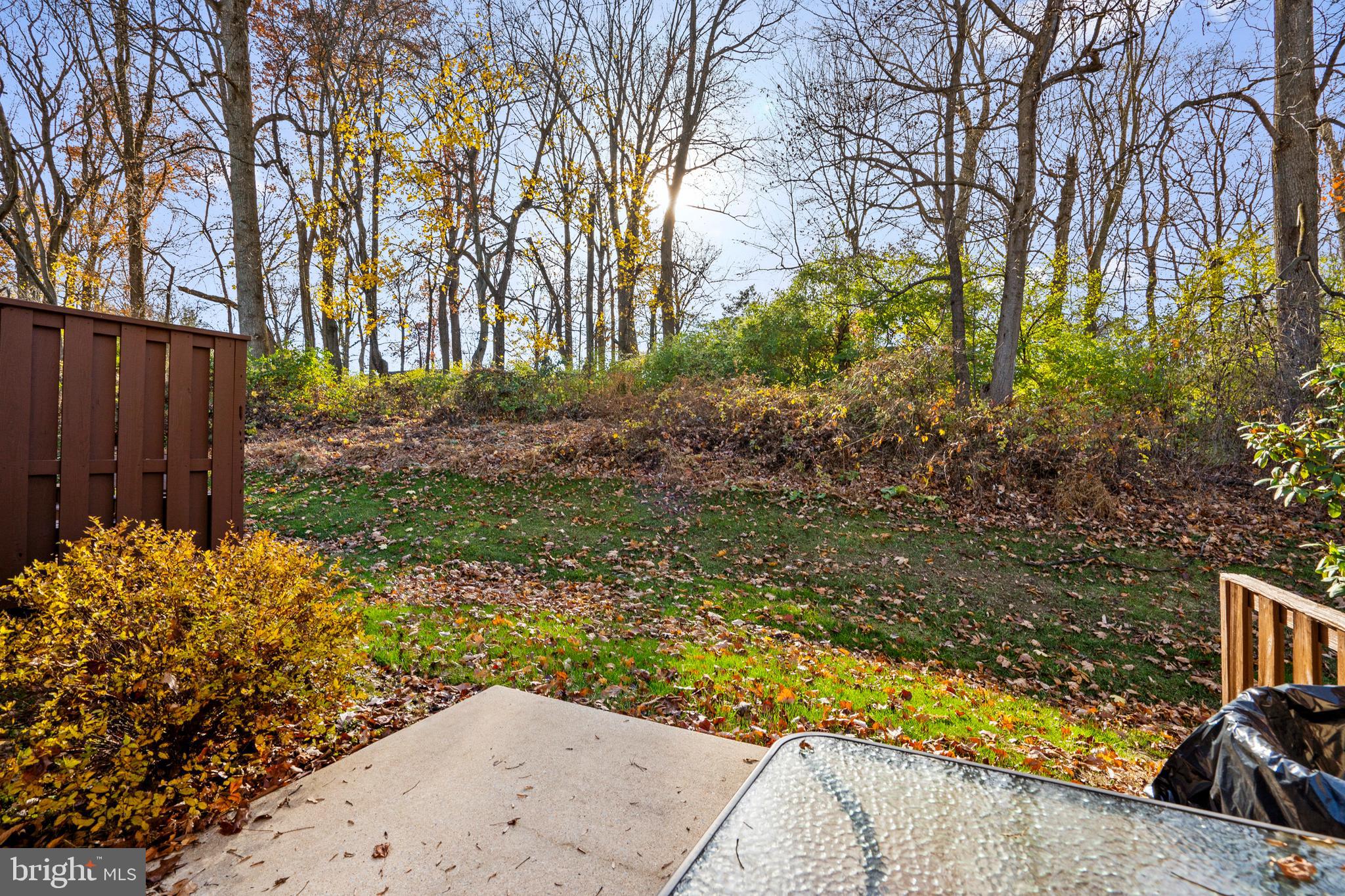 1007 Stoneham Drive, Unit 1007B Newtown Square, PA 19073 - Photo 26 of 31 a view of a backyard of the house