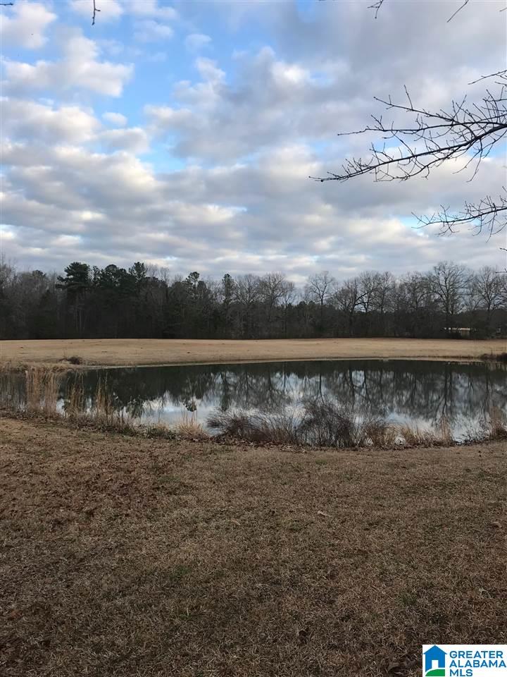 1547 Fulton Gap Road Sylacauga, AL 35150 - Photo 34 of 46