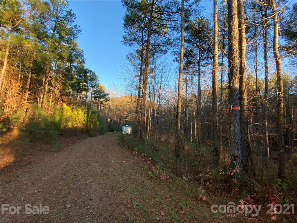 182 Pilot Ridge Road, Unit 9 Nebo, NC 28761 - Photo 31 of 32 a view of a park with large trees