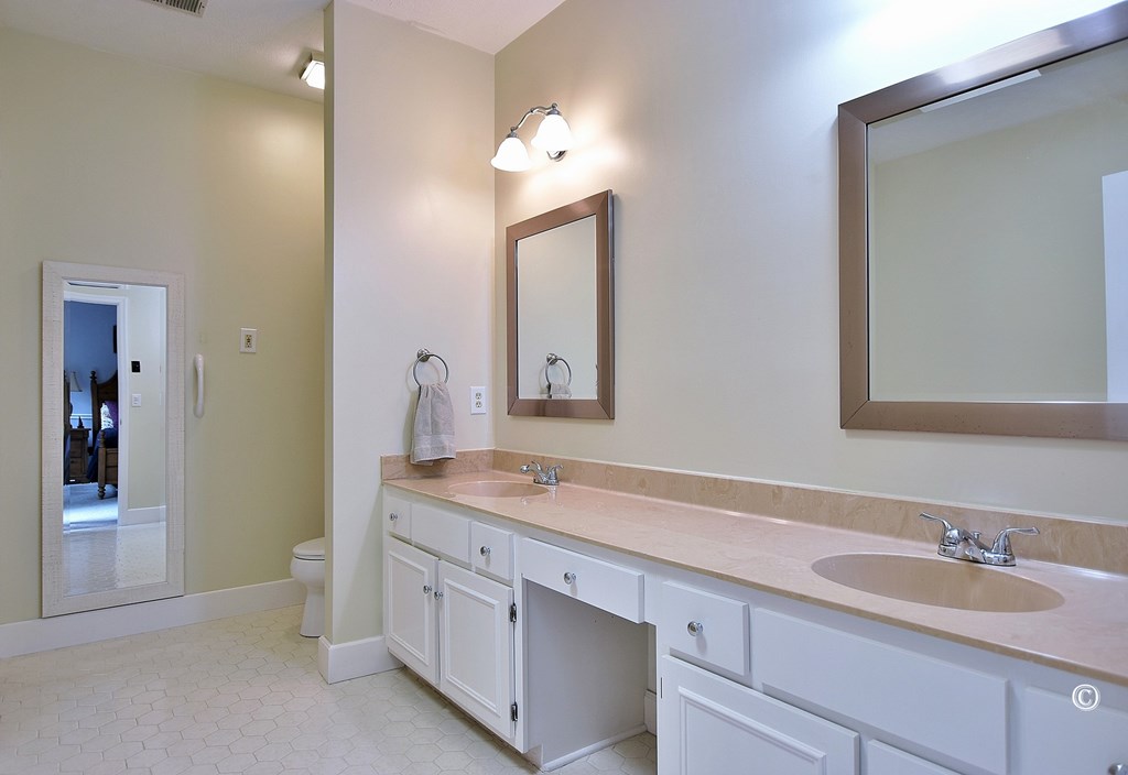 6260 Seminary Road Columbus, GA 31904 - Photo 17 of 28 Master Bathroom w/ Double Vanity & Make up Counter