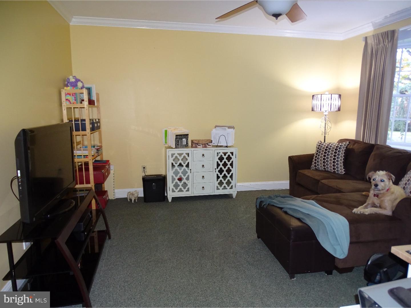 2862 Bayton Road Norristown, PA 19403 - Photo 22 of 25 Gallery Image 22
