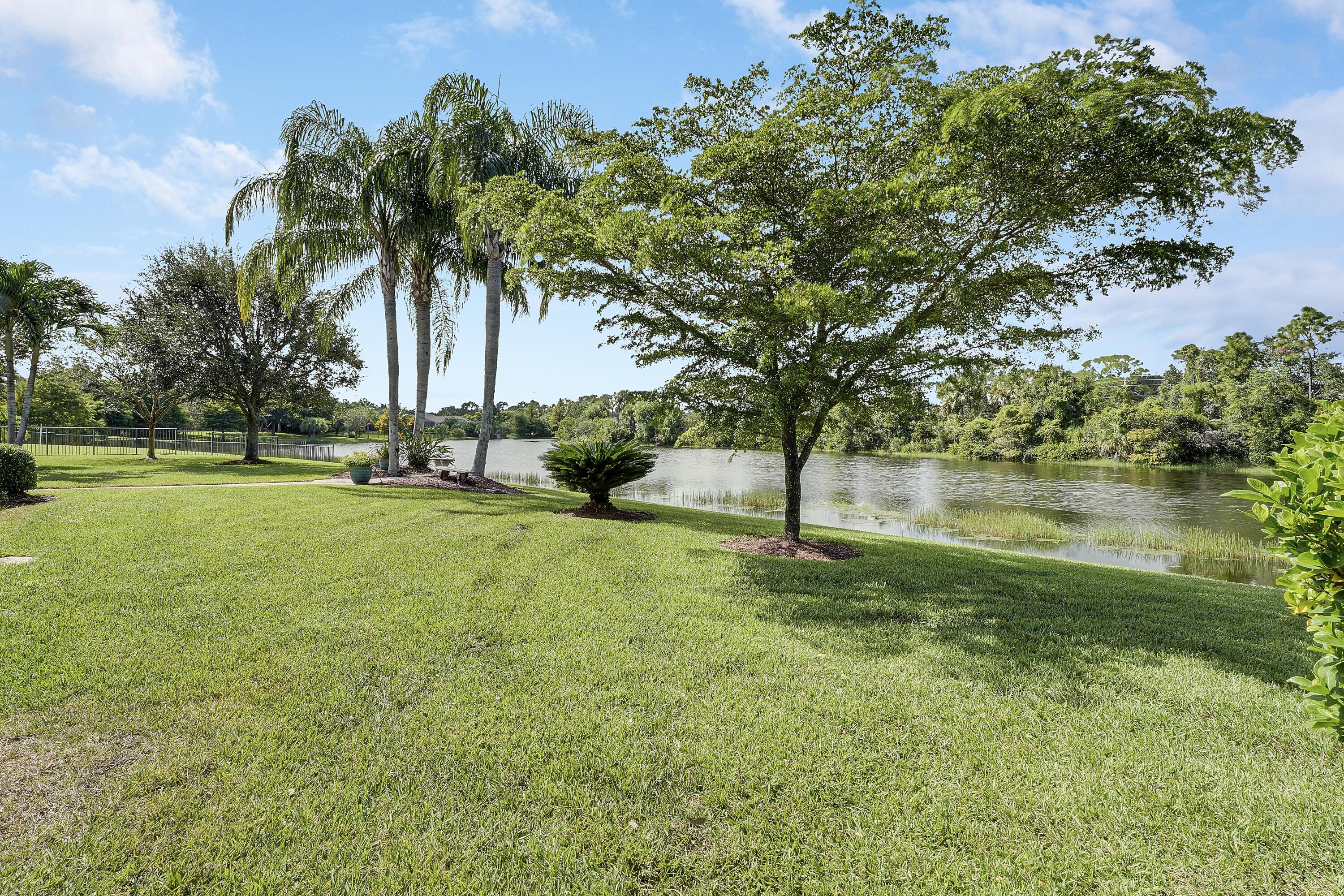 243 Southeast Ethan Terrace Stuart, FL 34997 - Photo 49 of 58 a view of a garden with a tree