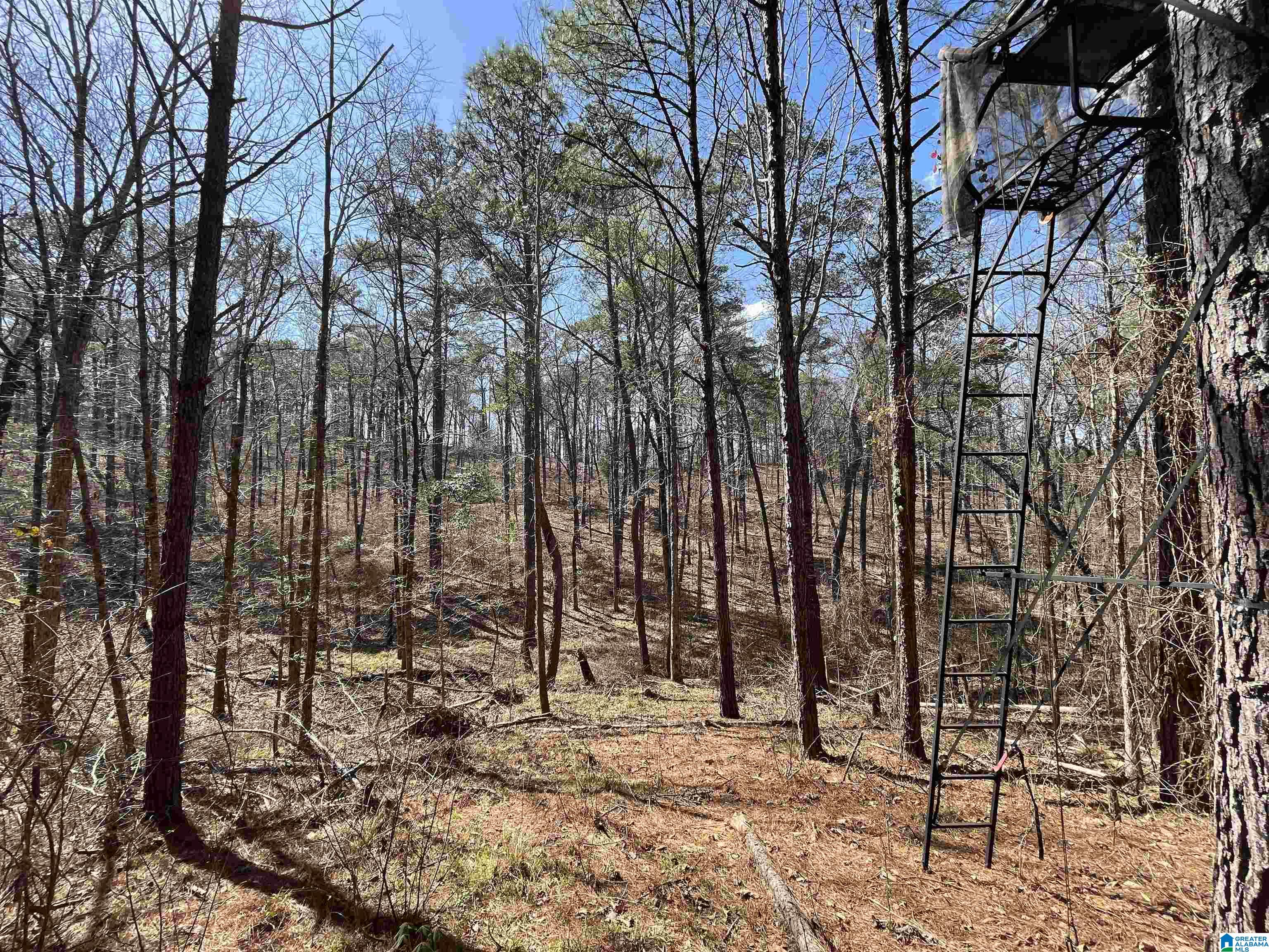 1354 Yeager Road Brent, AL 35034 - Photo 14 of 50 Gallery Image 14