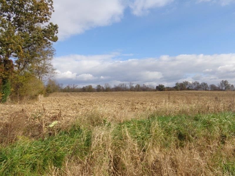 3327 South Pigeon Valley Road Boonville, IN 47601 - Photo 1 of 9 Gallery Image 1