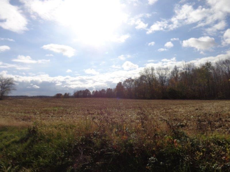 3327 South Pigeon Valley Road Boonville, IN 47601 - Photo 2 of 9 Gallery Image 2