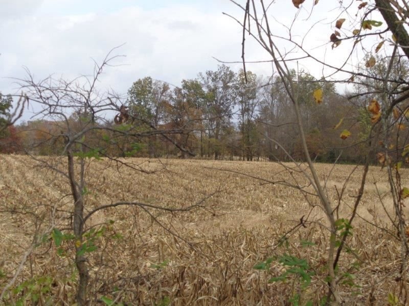 3327 South Pigeon Valley Road Boonville, IN 47601 - Photo 6 of 9 Gallery Image 6