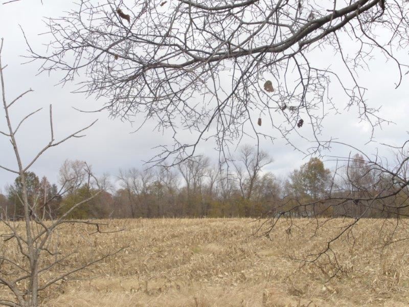 3327 South Pigeon Valley Road Boonville, IN 47601 - Photo 7 of 9 Gallery Image 7