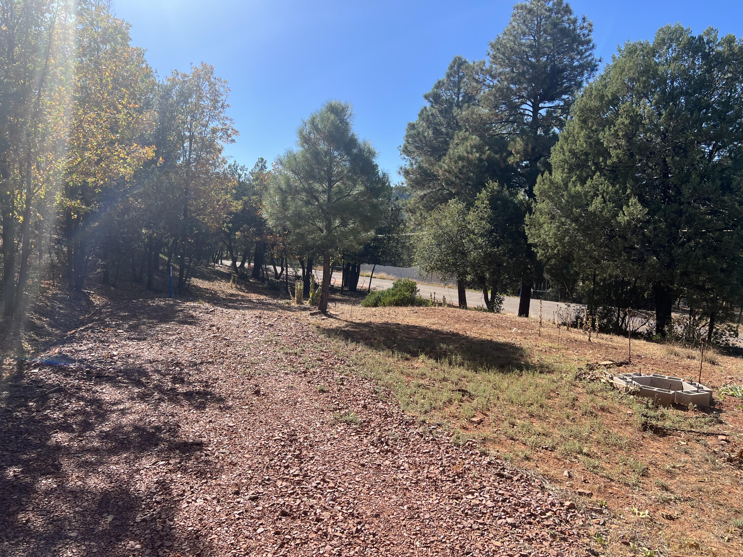 4863 Fuller Road Pine, AZ 85544 - Photo 6 of 9 a view of road with trees