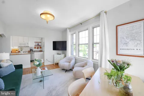 a living room with furniture potted plant and a window