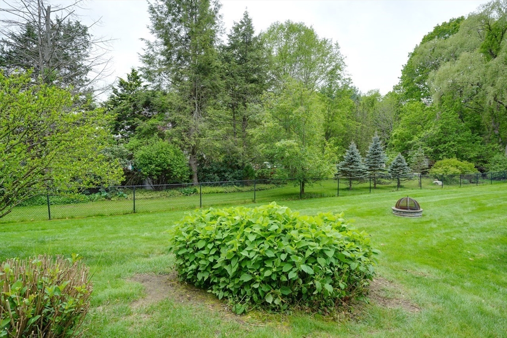 3 Alcorn Road Chelmsford, MA 01824 - Photo 35 of 39 a view of a garden with a tree