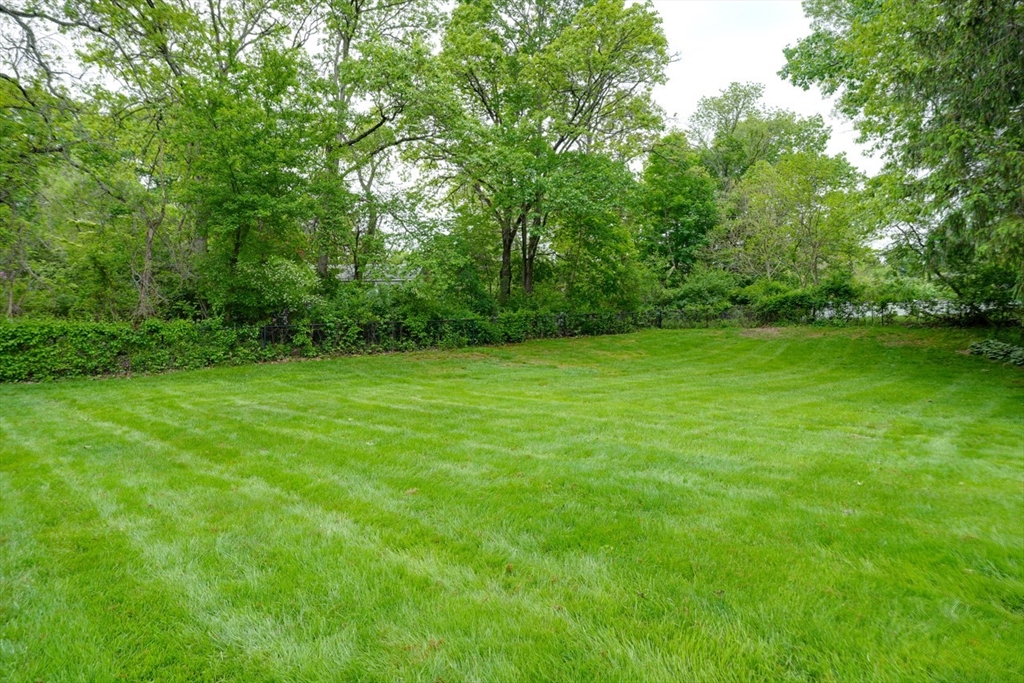 3 Alcorn Road Chelmsford, MA 01824 - Photo 36 of 39 a view of a green field with plants