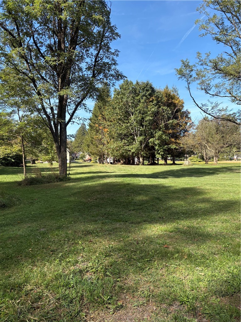 53 South Street Edmeston, NY 13335 - Photo 31 of 37