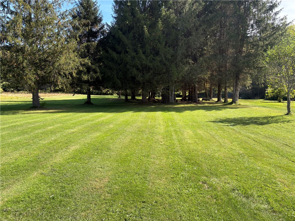 53 South Street Edmeston, NY 13335 - Photo 35 of 37