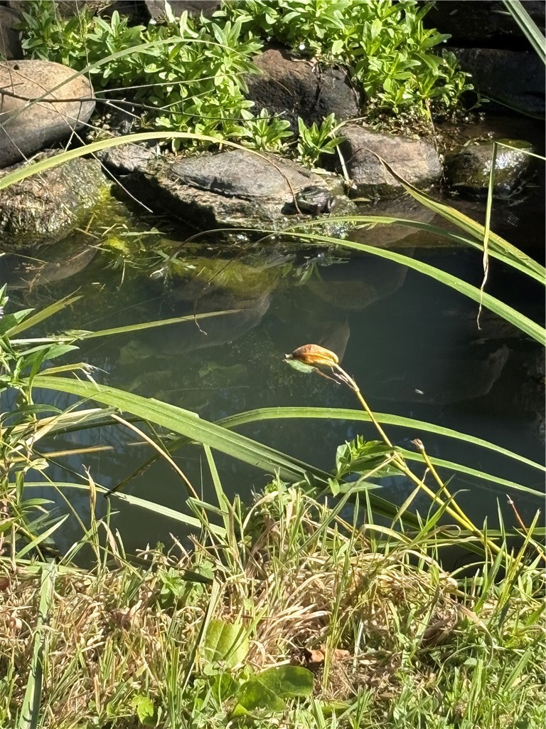 53 South Street Edmeston, NY 13335 - Photo 37 of 37