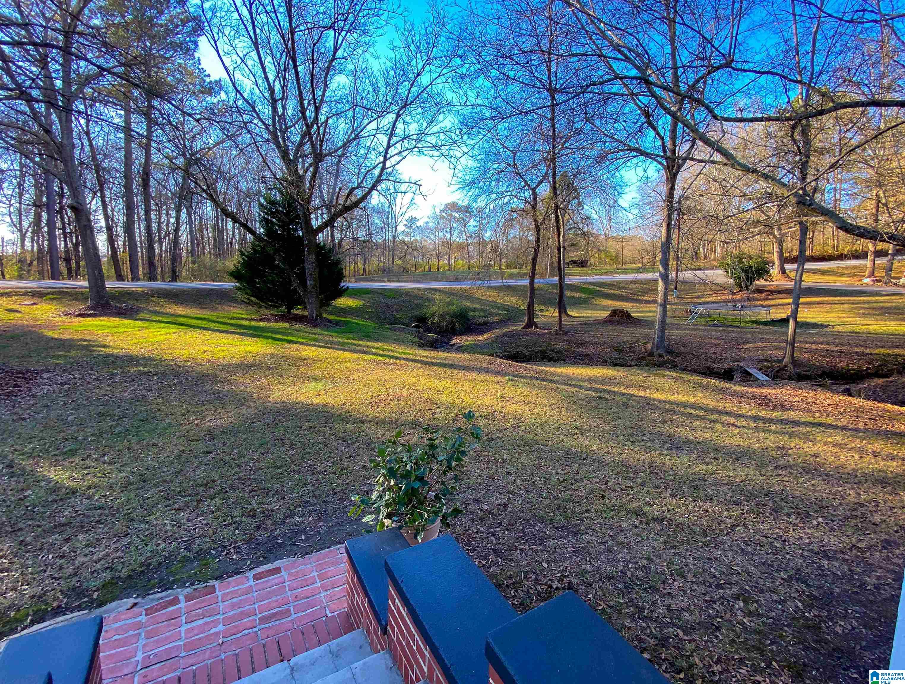 2858 Frank Ledbetter Memorial Drive Ranburne, AL 36273 - Photo 10 of 49