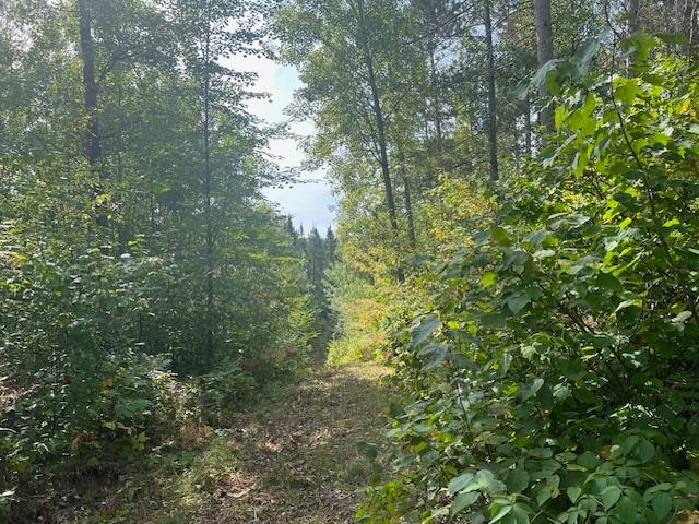 Off Pickerel Creek Road Pearson, WI 54462 - Photo 3 of 4 Gallery Image 3