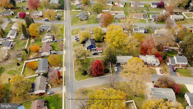 a view of a park with large trees