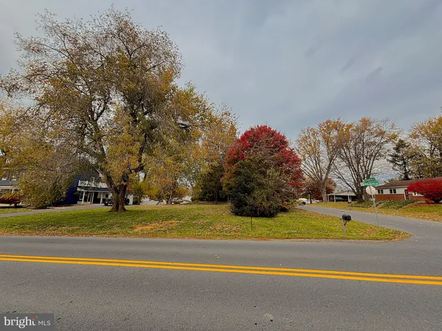 a view of a field with an trees