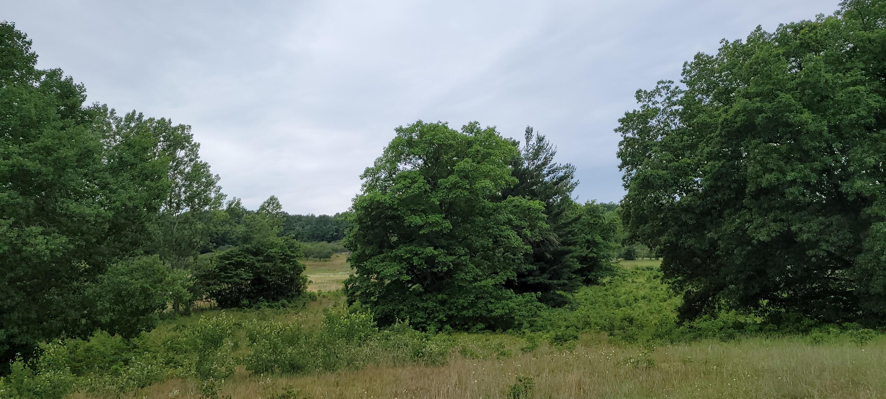 Warren Road Shelby, MI 49455 - Photo 11 of 40 20210628_133301