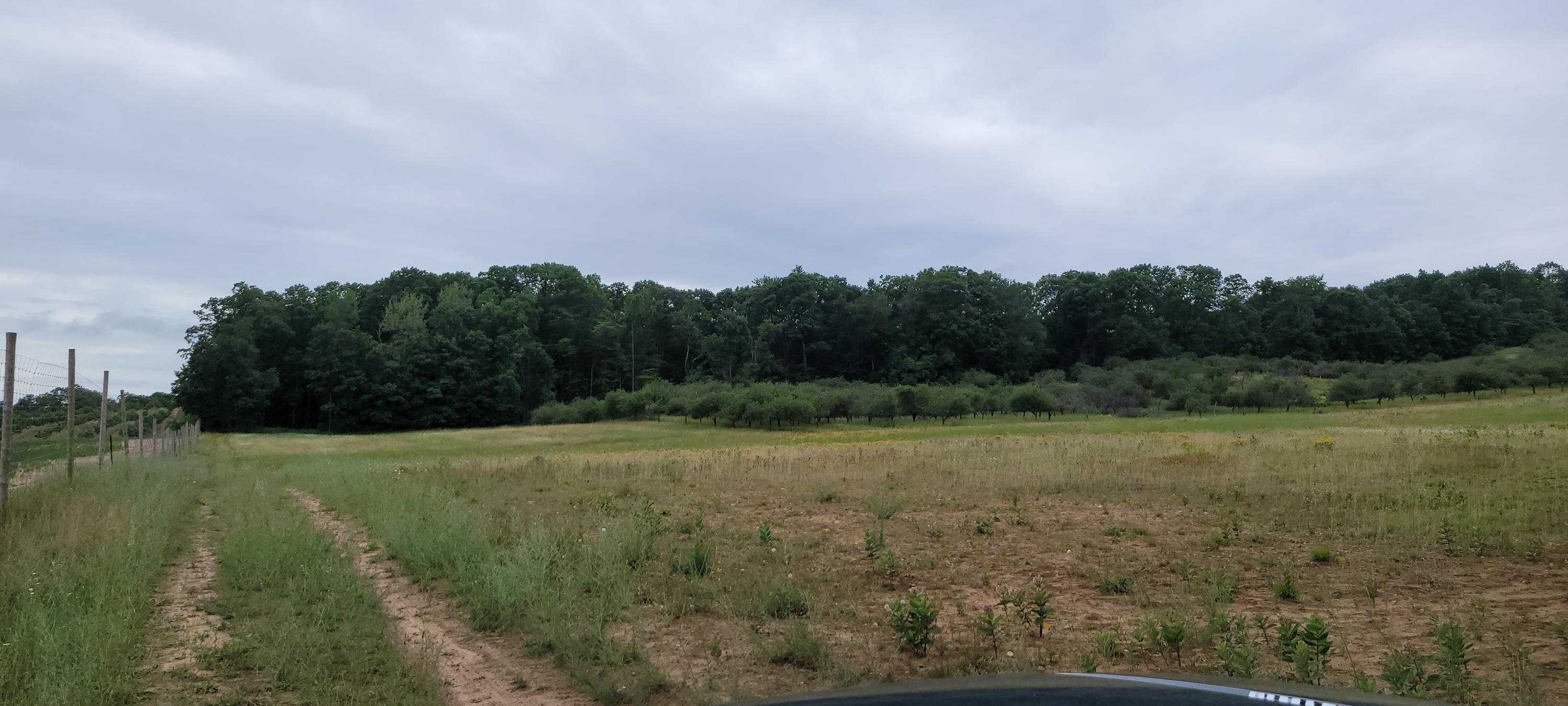 Warren Road Shelby, MI 49455 - Photo 15 of 40 20210628_133425