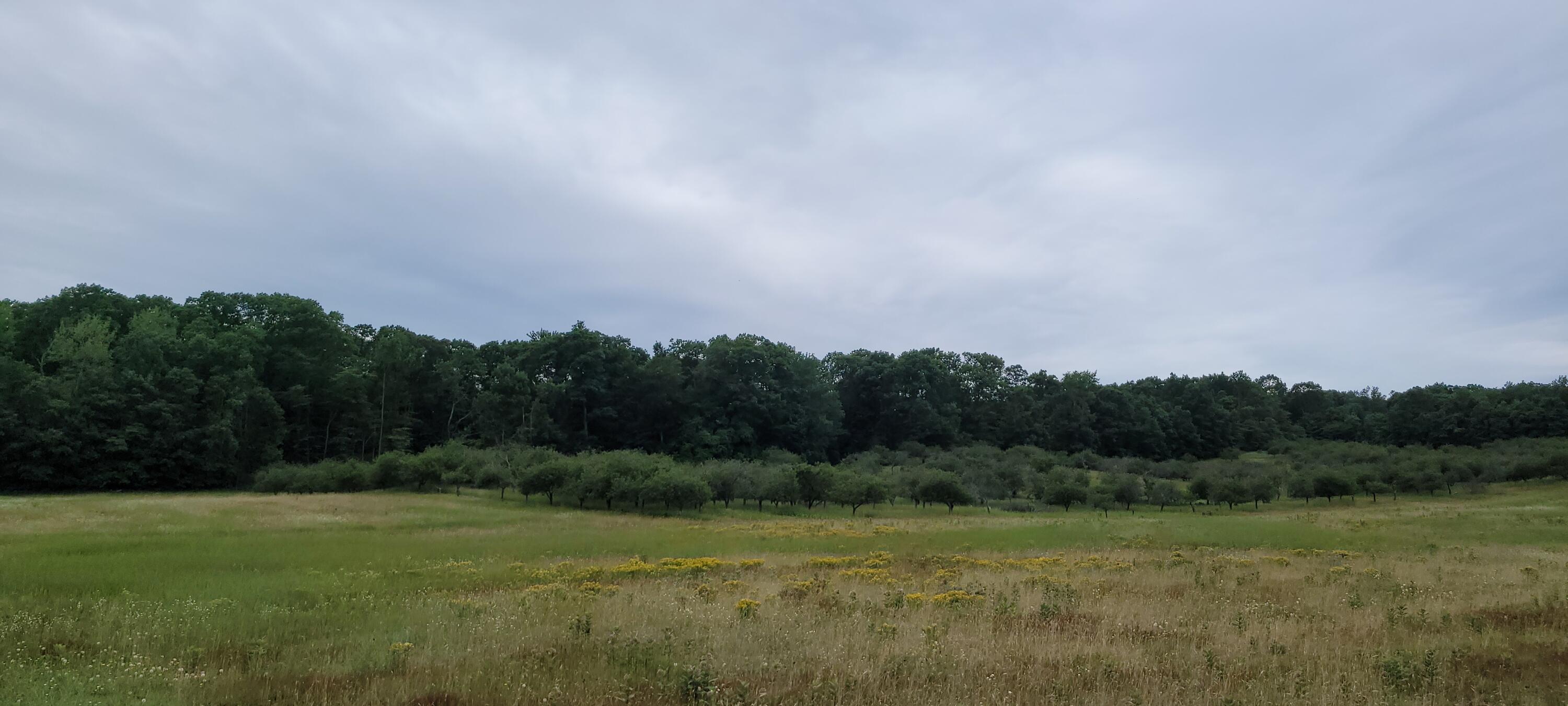 Warren Road Shelby, MI 49455 - Photo 16 of 40 20210628_133450