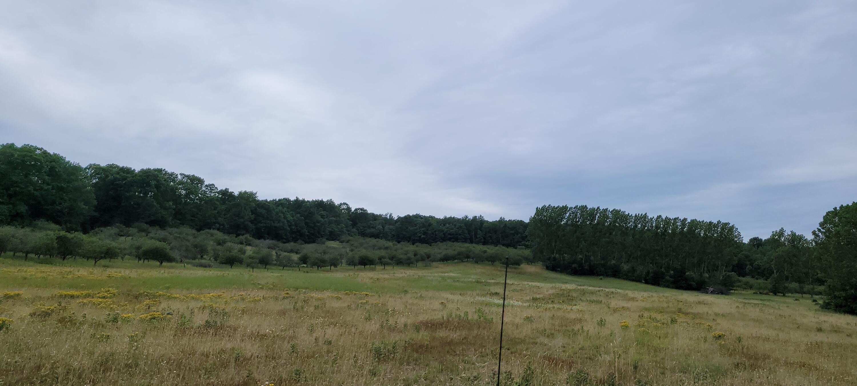Warren Road Shelby, MI 49455 - Photo 17 of 40 20210628_133453