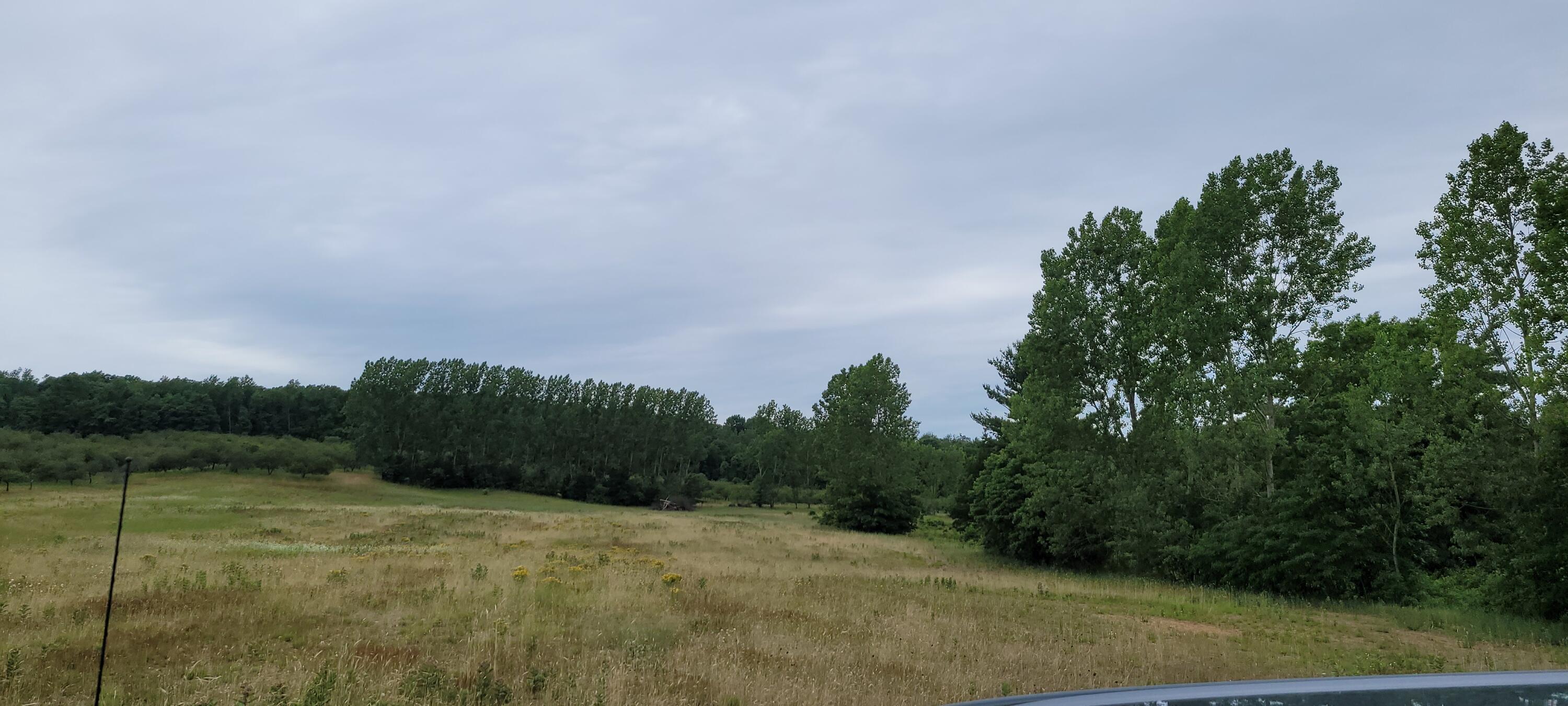 Warren Road Shelby, MI 49455 - Photo 18 of 40 20210628_133456