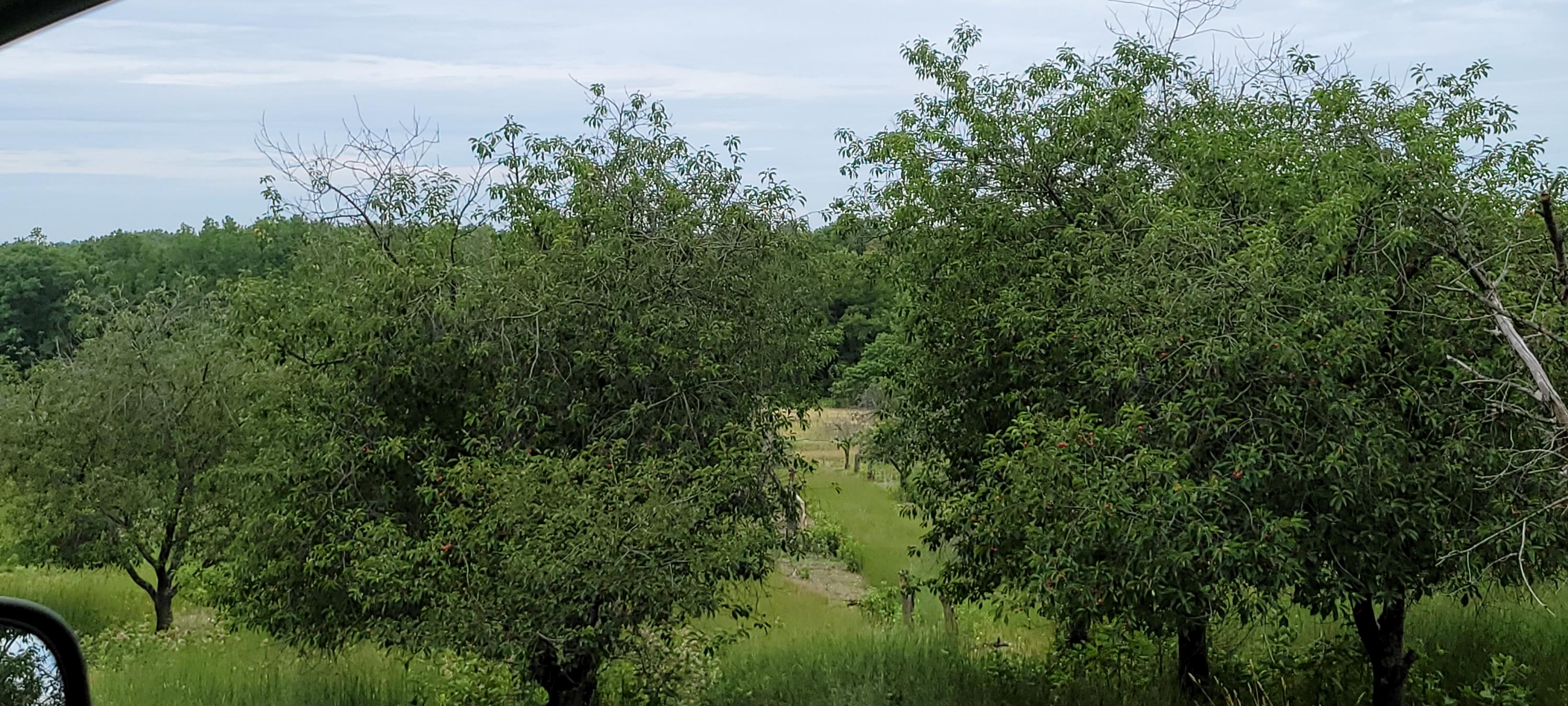 Warren Road Shelby, MI 49455 - Photo 21 of 40 20210628_133735