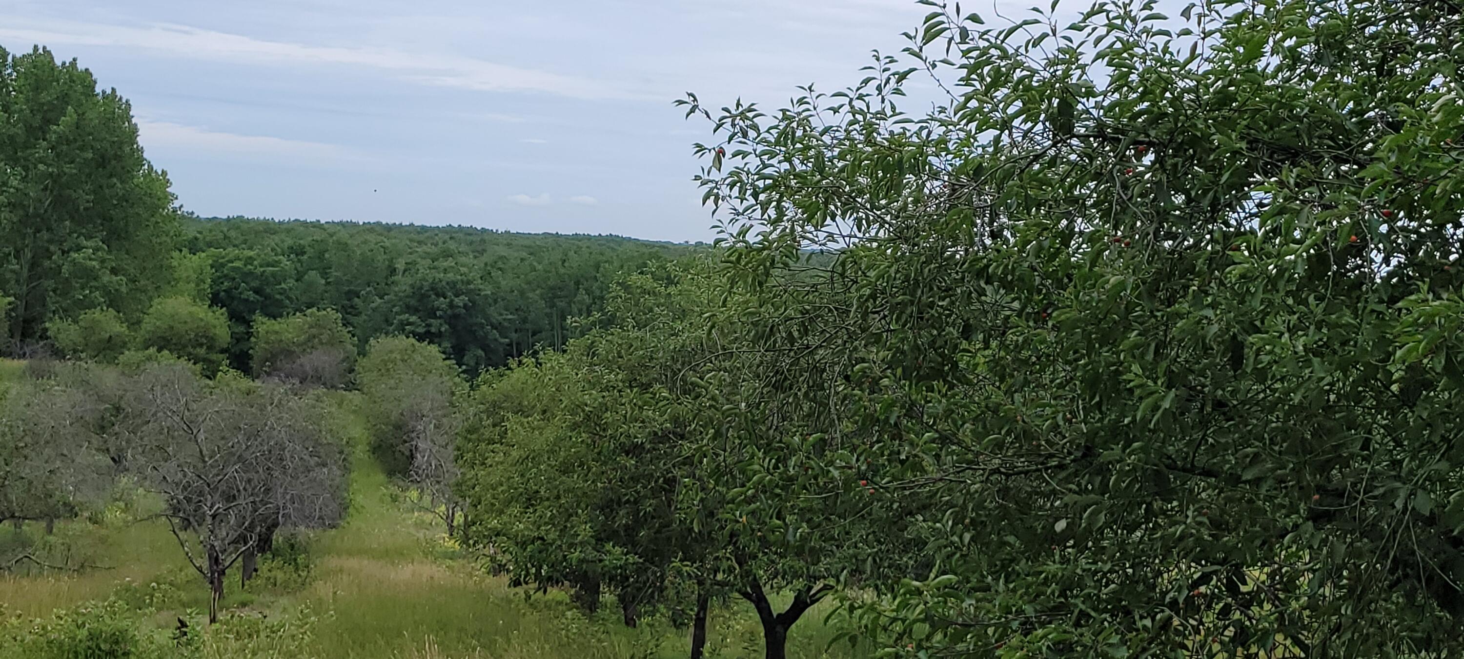 Warren Road Shelby, MI 49455 - Photo 23 of 40 20210628_133834
