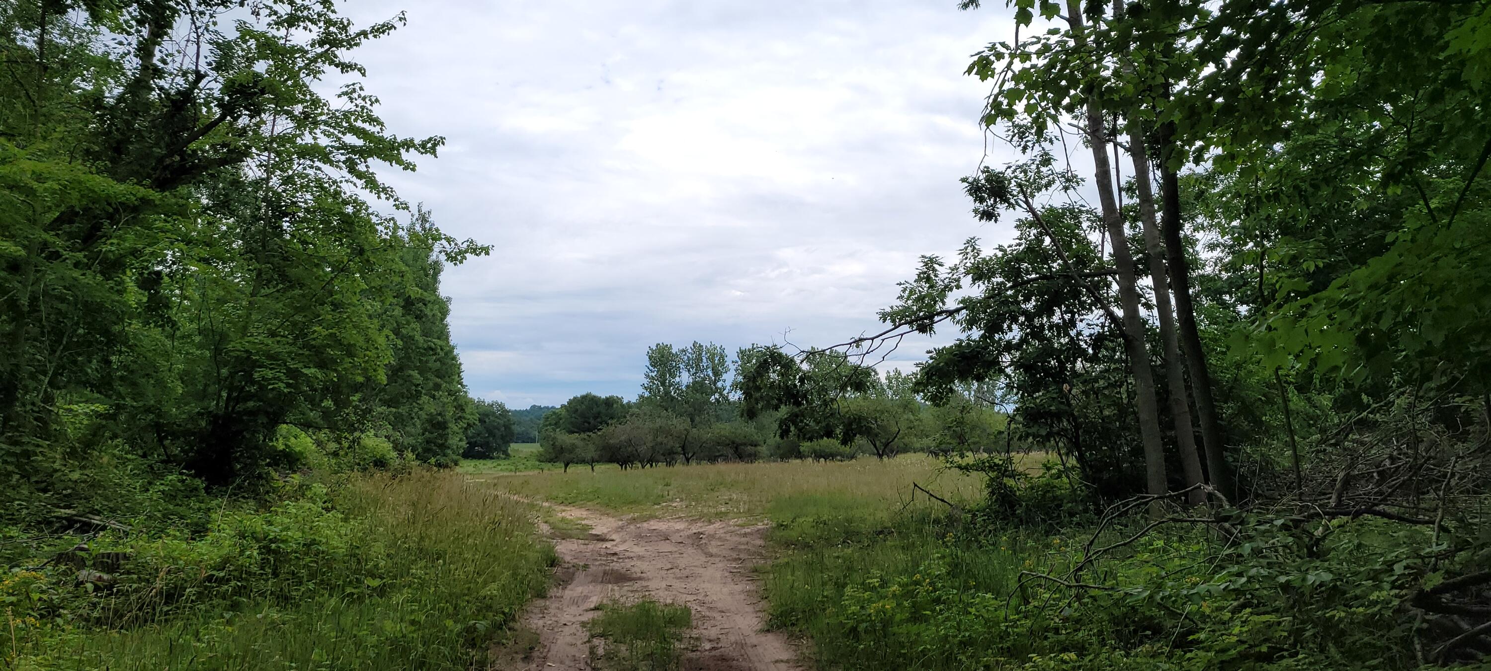 Warren Road Shelby, MI 49455 - Photo 3 of 40 20210628_132627