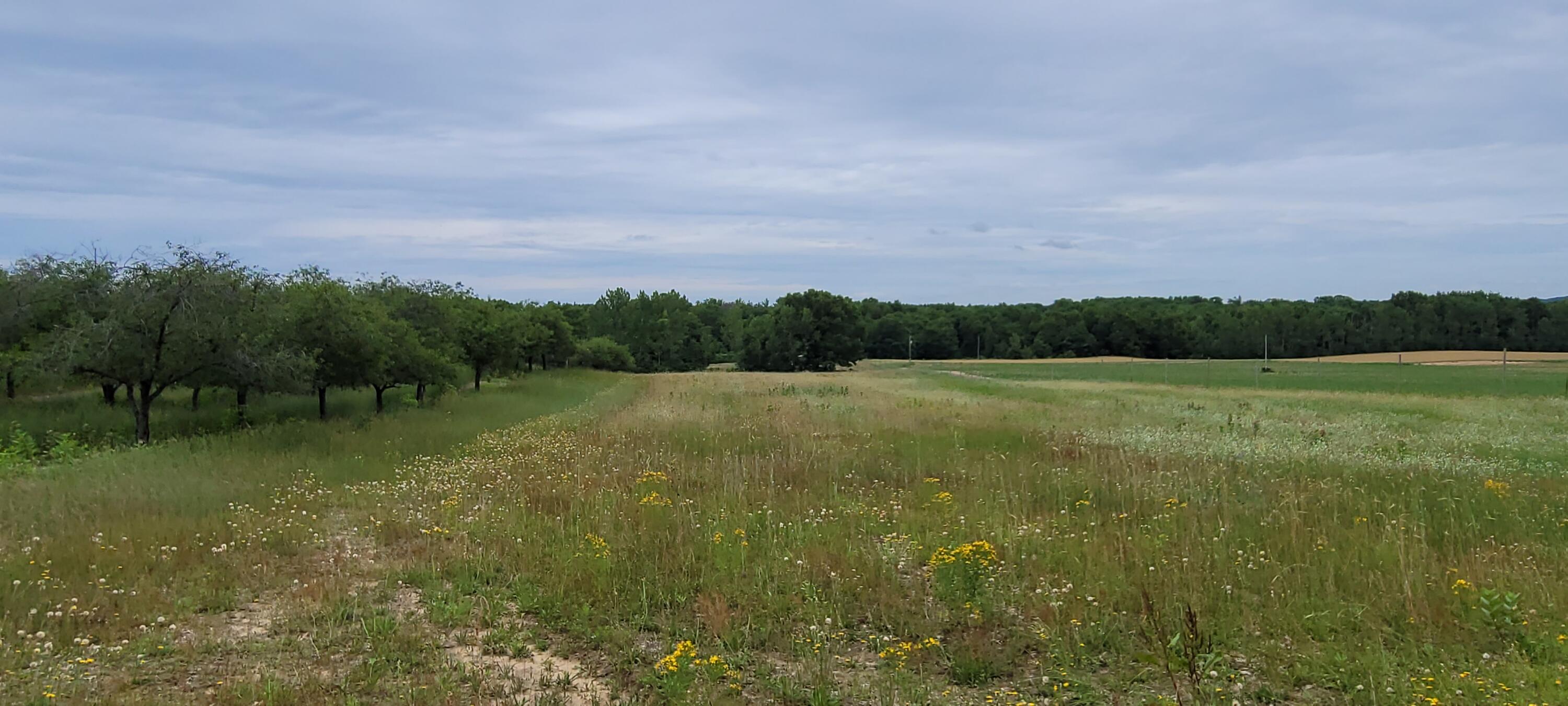 Warren Road Shelby, MI 49455 - Photo 35 of 40 20210628_134637