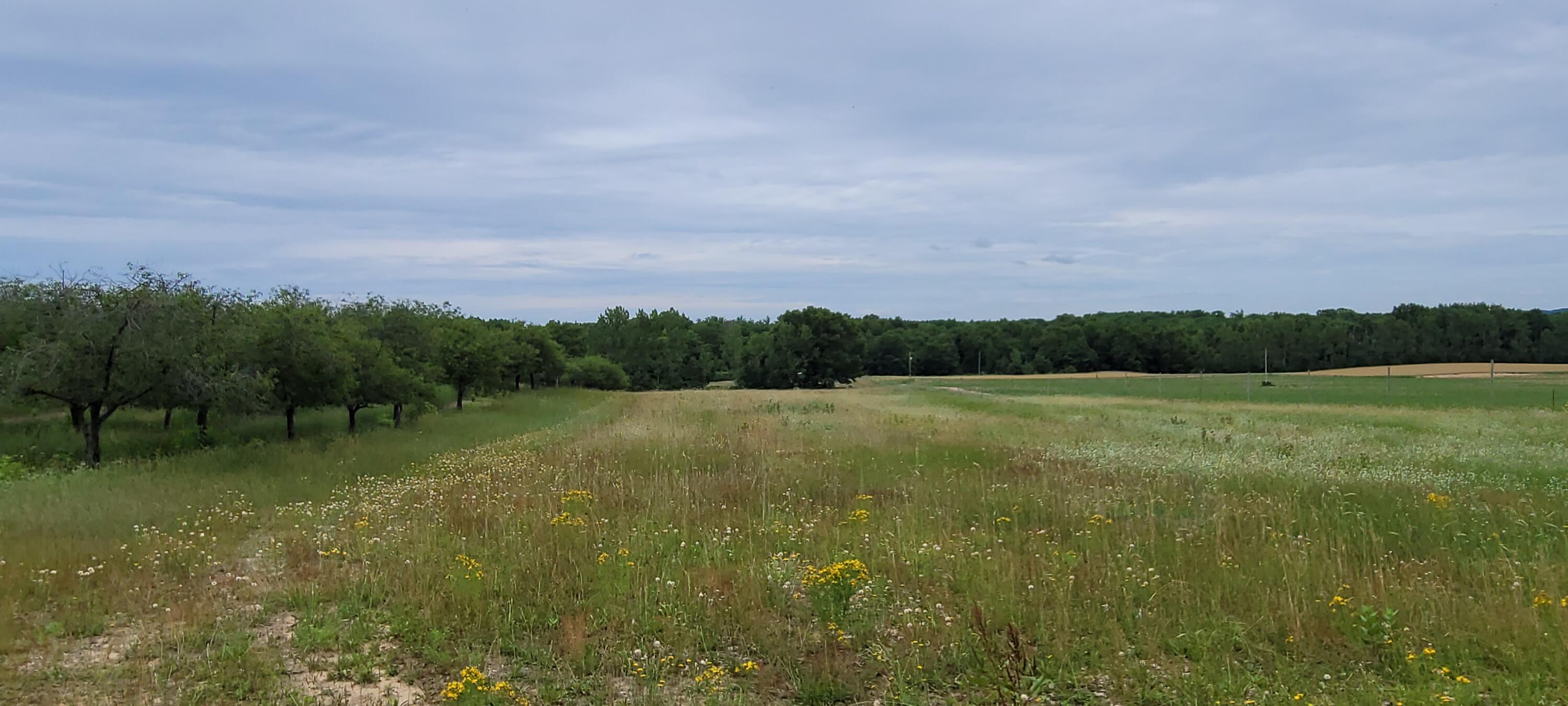 Warren Road Shelby, MI 49455 - Photo 36 of 40 20210628_134638