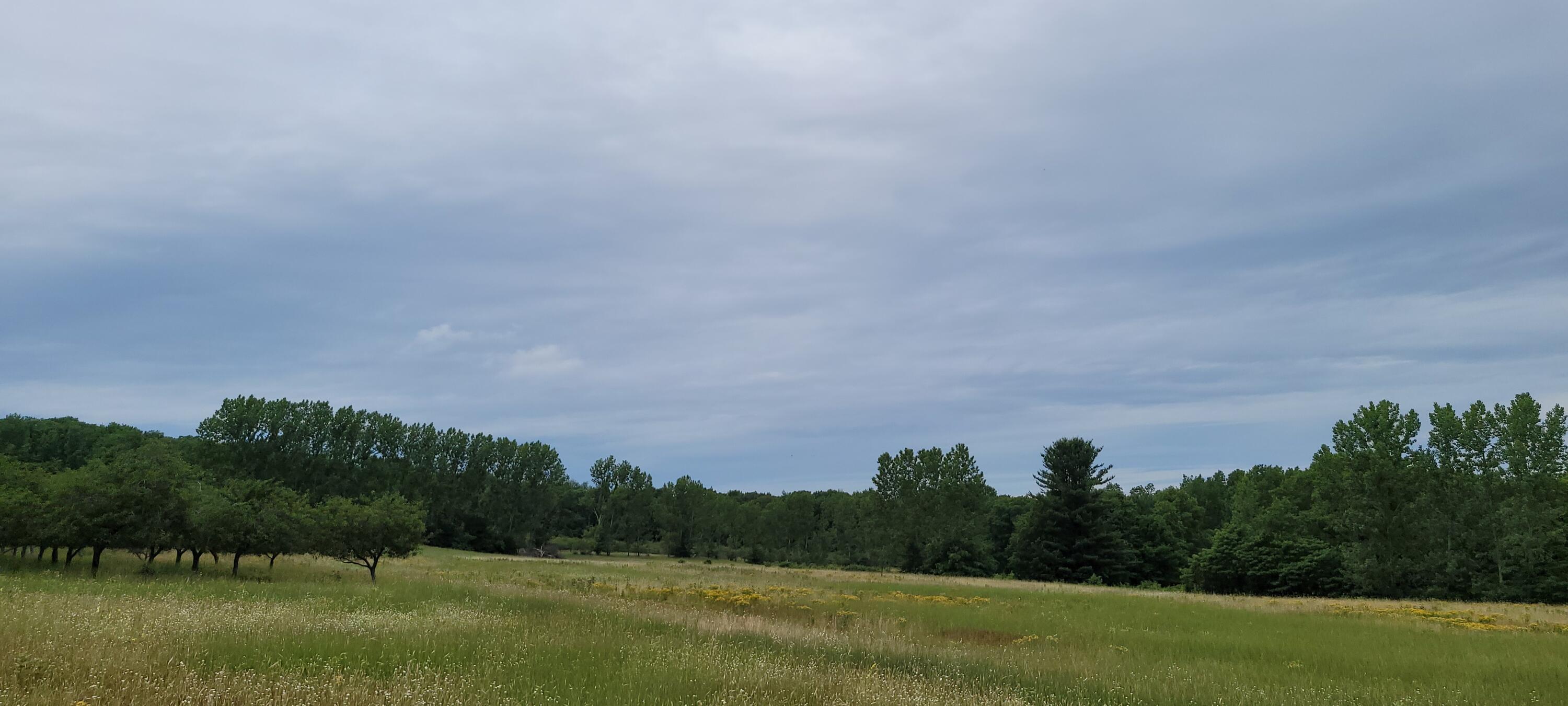 Warren Road Shelby, MI 49455 - Photo 37 of 40 20210628_134716