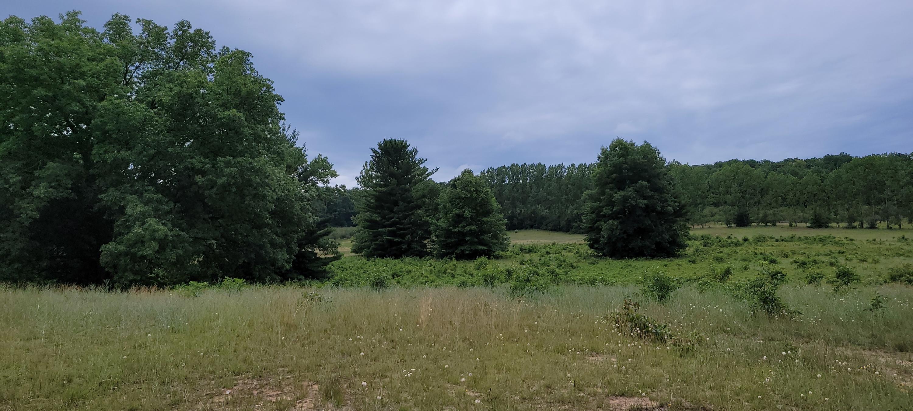 Warren Road Shelby, MI 49455 - Photo 39 of 40 20210628_134834