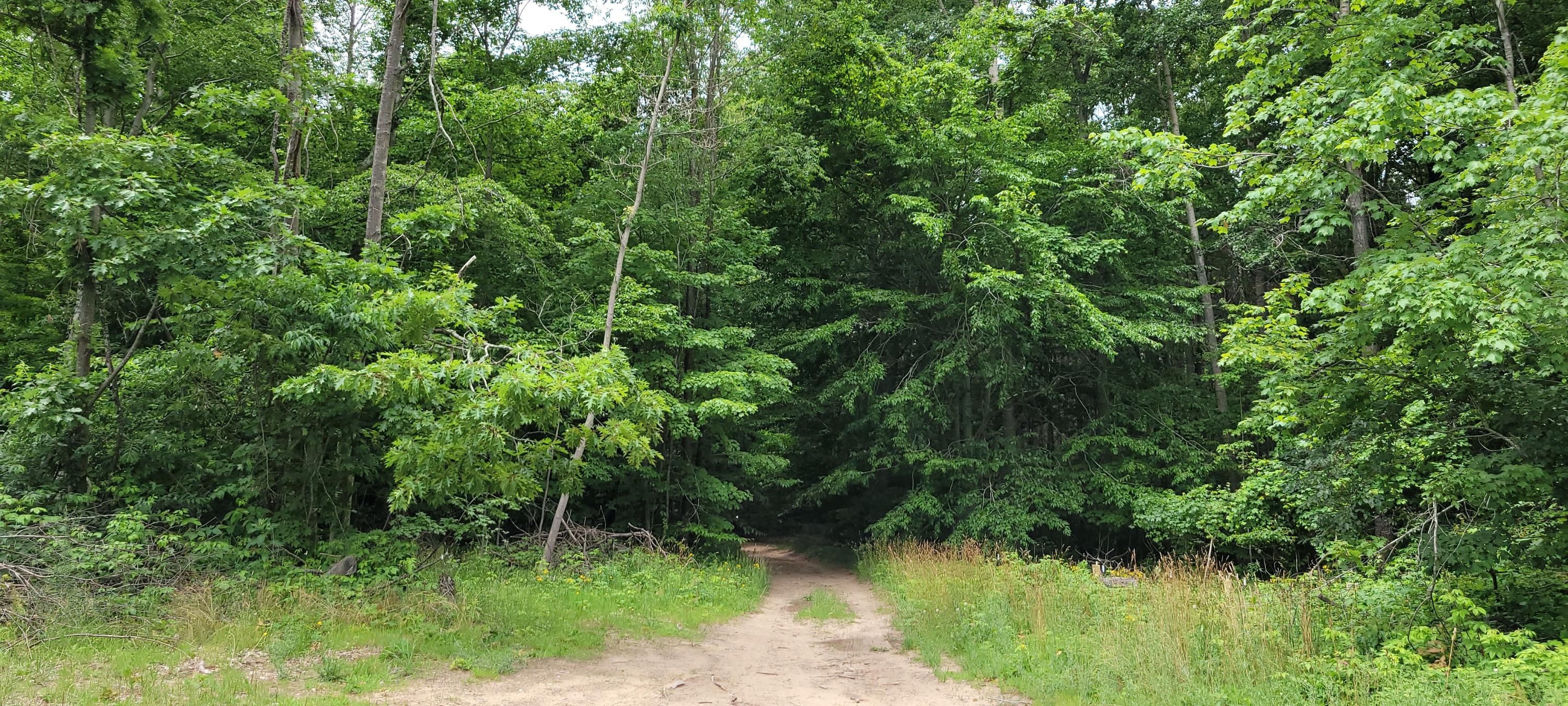 Warren Road Shelby, MI 49455 - Photo 40 of 40 20210628_135202