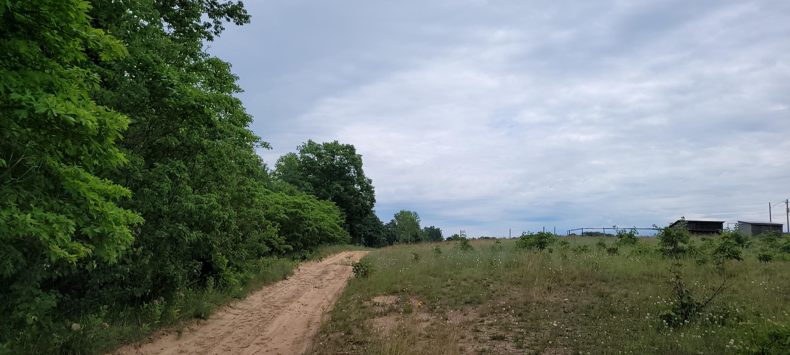 Warren Road Shelby, MI 49455 - Photo 10 of 40 20210628_133155