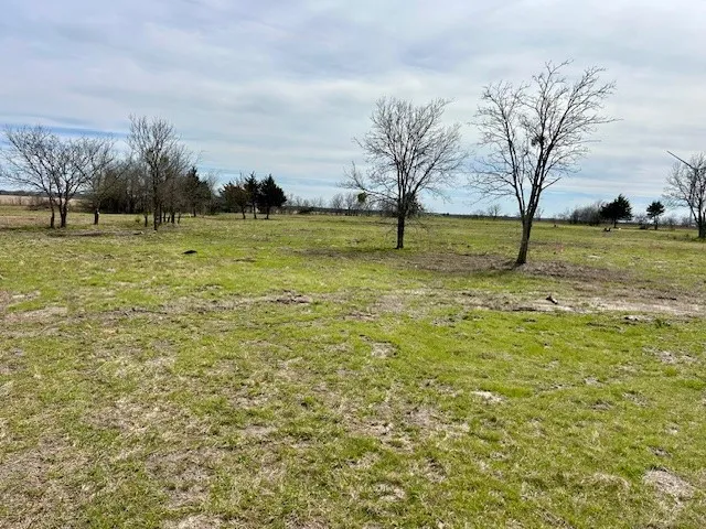 a view of a field with an ocean