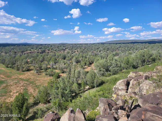 a view of a big yard with lots of green space