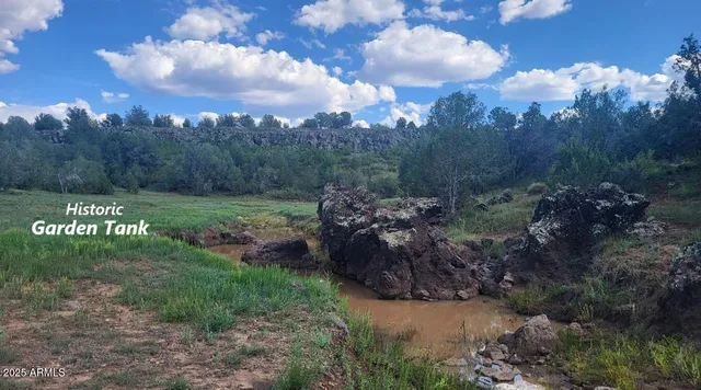 a view of a green yard