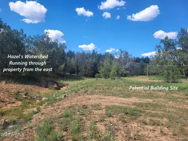a view of a yard with a house
