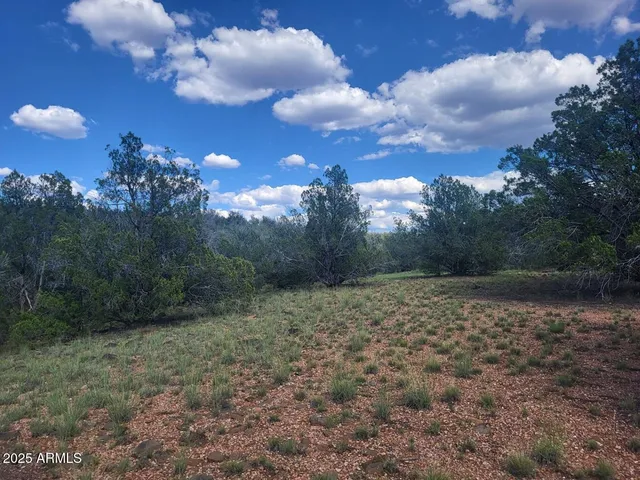 $250,000 | Lot 9 West Terry Lane, Unit 9, Williams, AZ 86046