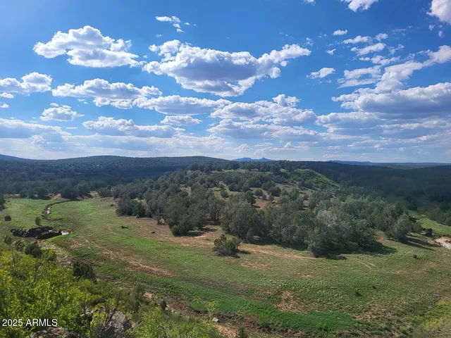 a view of a bunch of trees and mountains