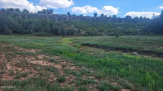 a view of a house in a yard