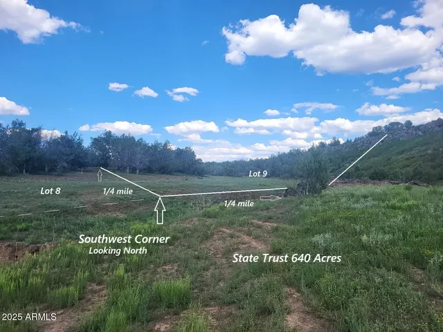 a view of a pathway with a park
