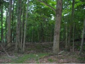 7699 East Pine Grove Road Bloomington, IN 47401 - Photo 3 of 5 Gallery Image 3