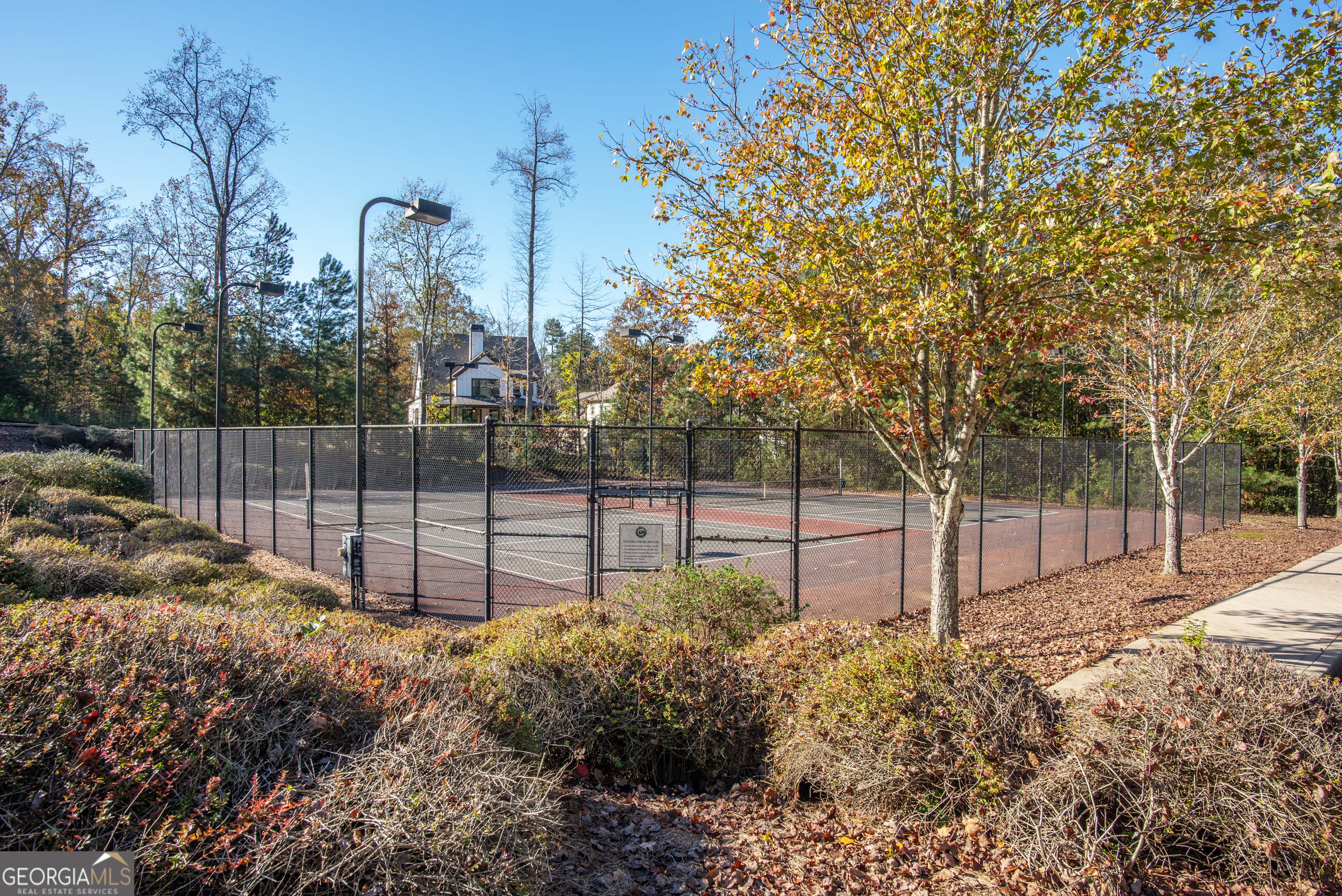 265 Federal Street Athens, GA 30607 - Photo 56 of 61 a view of a backyard with large trees