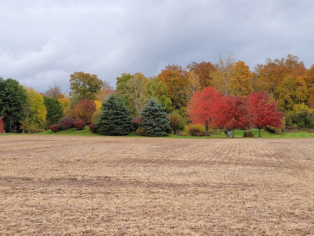 8492 Wellbaum Road Brookville, OH 45309 - Photo 10 of 13 Cultivated land meets a vibrant autumn tree line, creating a serene and expansive natural setting.