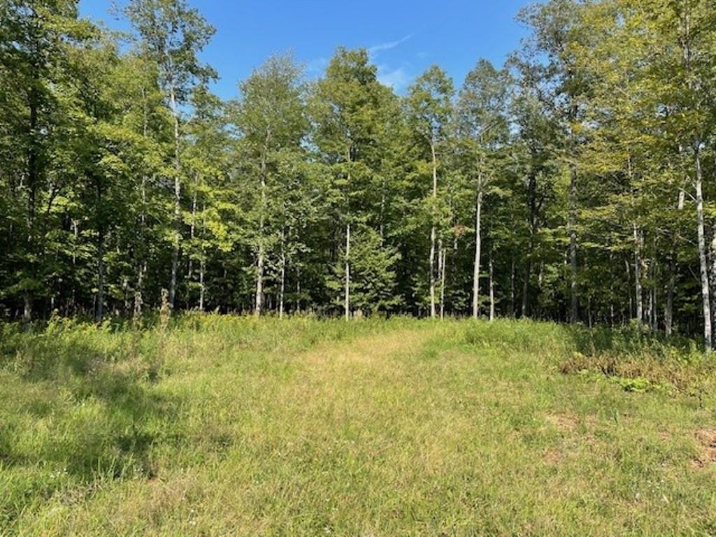 36.72-acres County Rd J Merrill, WI 54452 - Photo 1 of 1 Gallery Image 1