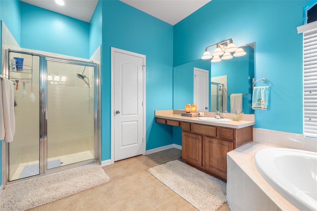 30404 Colthurst Street Wesley Chapel, FL 33545 - Photo 35 of 61